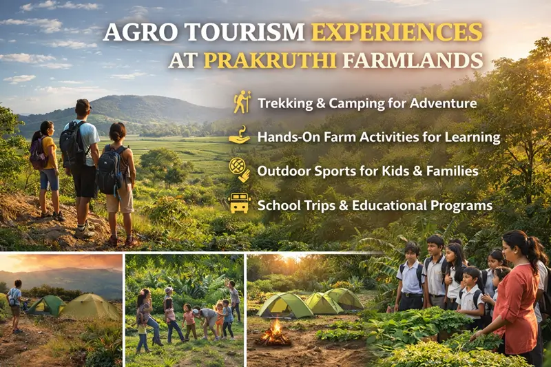 Agro Tourism Experiences